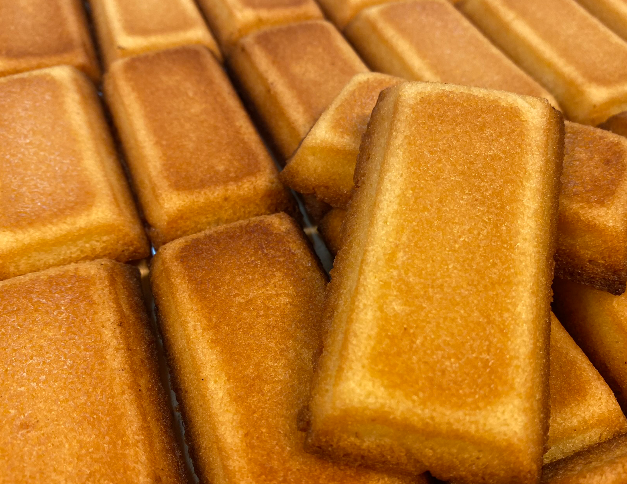 financier