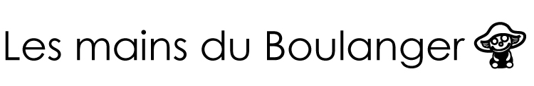 Les Mains Du Boulanger ブーランジェリールボワのシェフ森朝春の手仕事日記