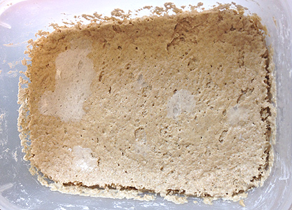 Levain